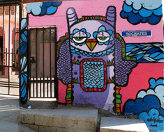 Owl Mural Tijuana, Mexico